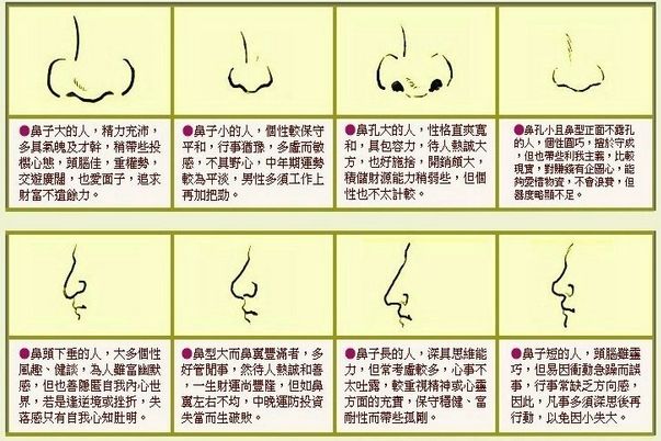 鼻子是面相学重要部位