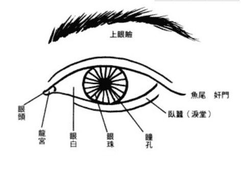 男人眼型图解大全图片