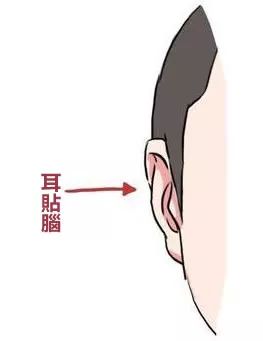 男人耳朵面相图解_看耳朵面相图解_耳朵面相图解